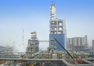 引领未来 镇海炼化百万吨乙烯项目聚乙烯装置的技术革新与产业价值